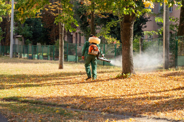 Best Local Pest Control Services  in East Pepperell, MA